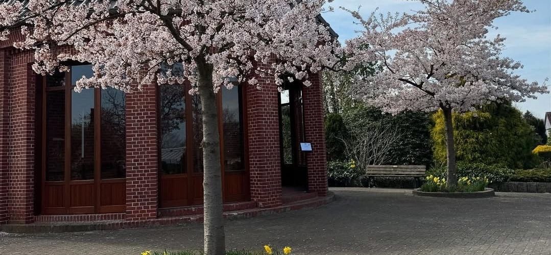 Friedhof Hittfeld Baum und Haus