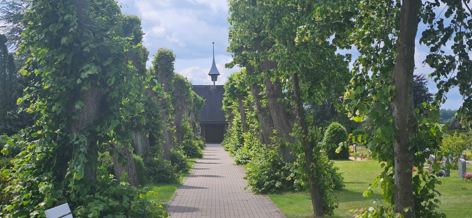 Friedhof Stelle Allee Weg