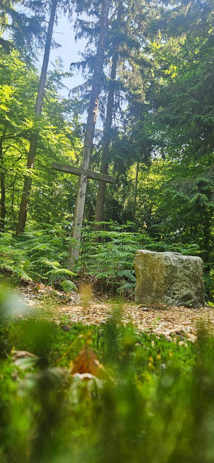 Bestattungswald Kreuz