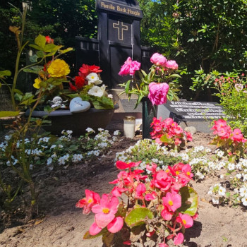 Grab und rote Blumen