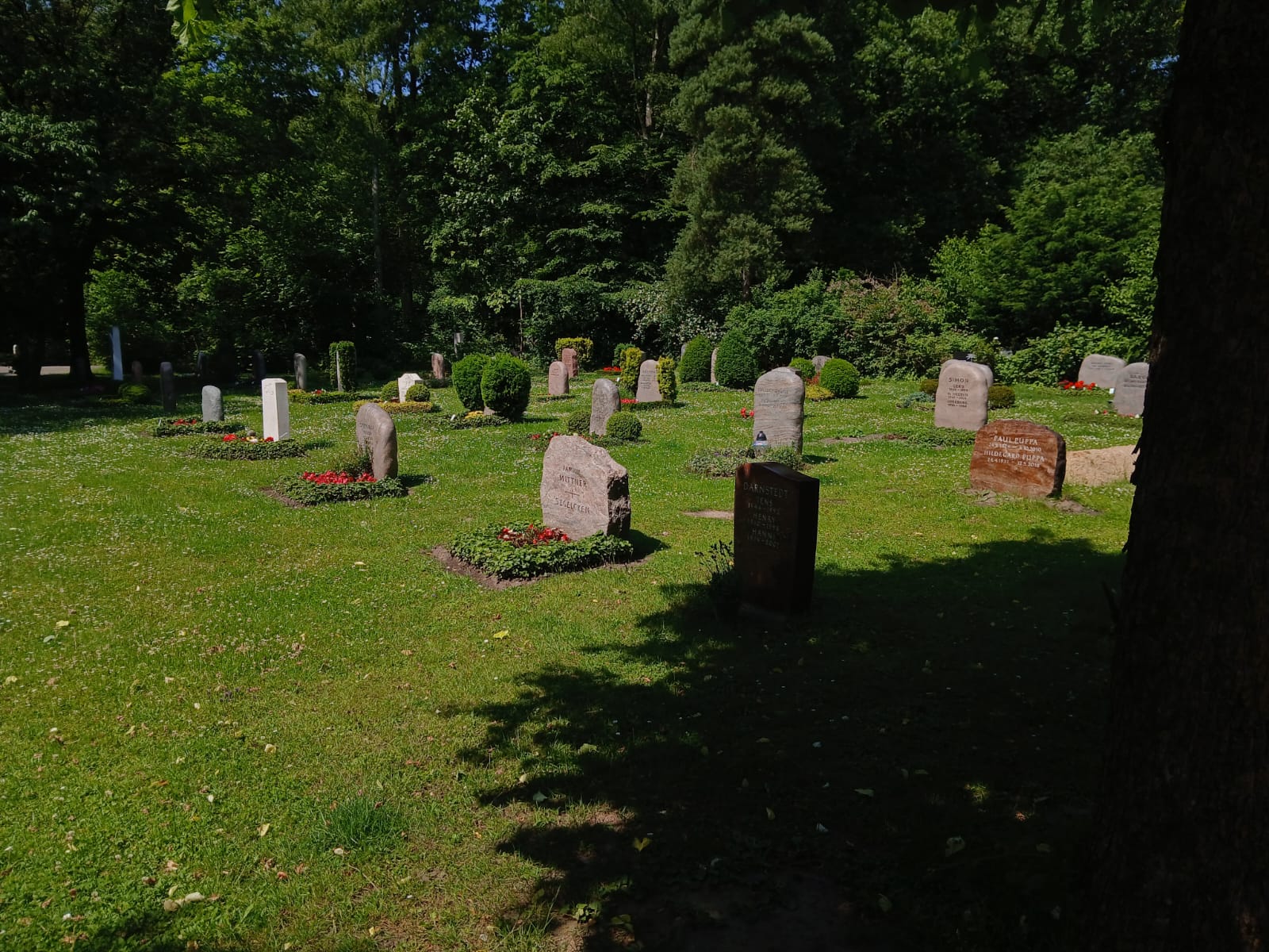 Friedhof Volksdorf Gräber