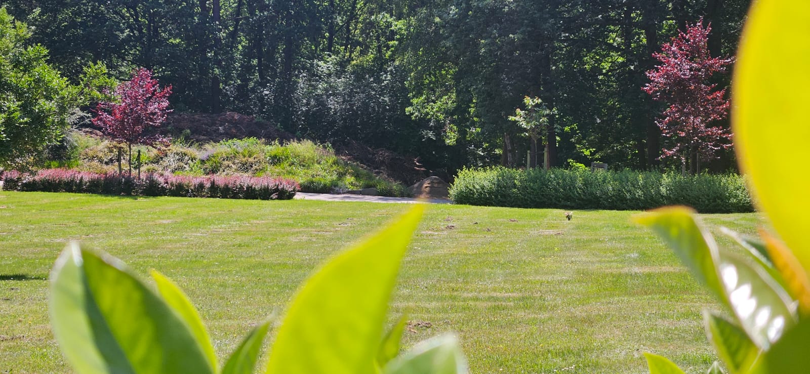 Waldfriedhof St. Paulus Buchholz Rasenflaeche